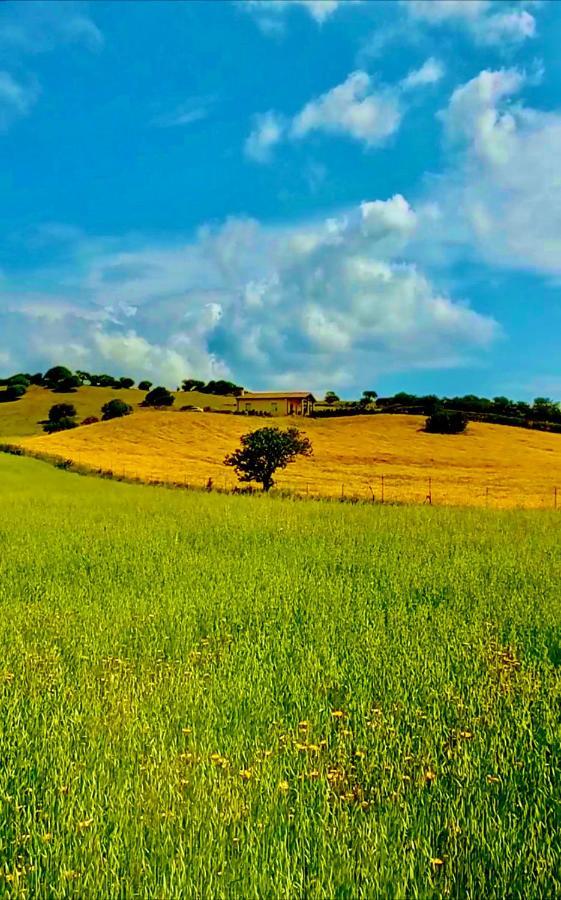 San Leonardo Country House Calangianus Exterior foto